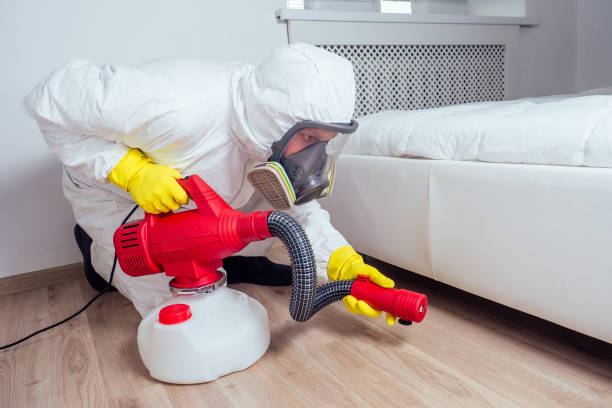 Pest Prevention Services in Folcroft, PA