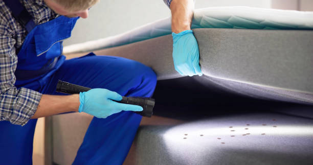 Best Exterminator Services  in Folcroft, PA