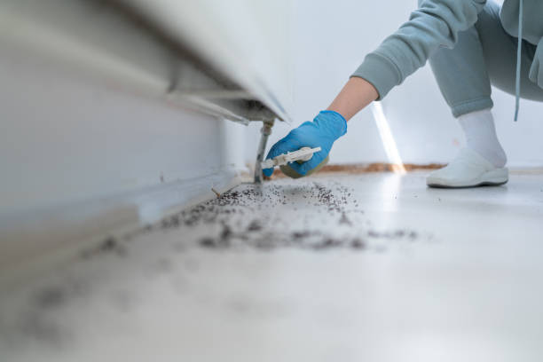 Best Pest Removal Services  in Folcroft, PA