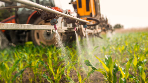 Best Pest Control Cost  in Folcroft, PA
