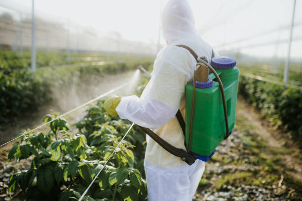 Best Commercial Pest Control Services  in Folcroft, PA